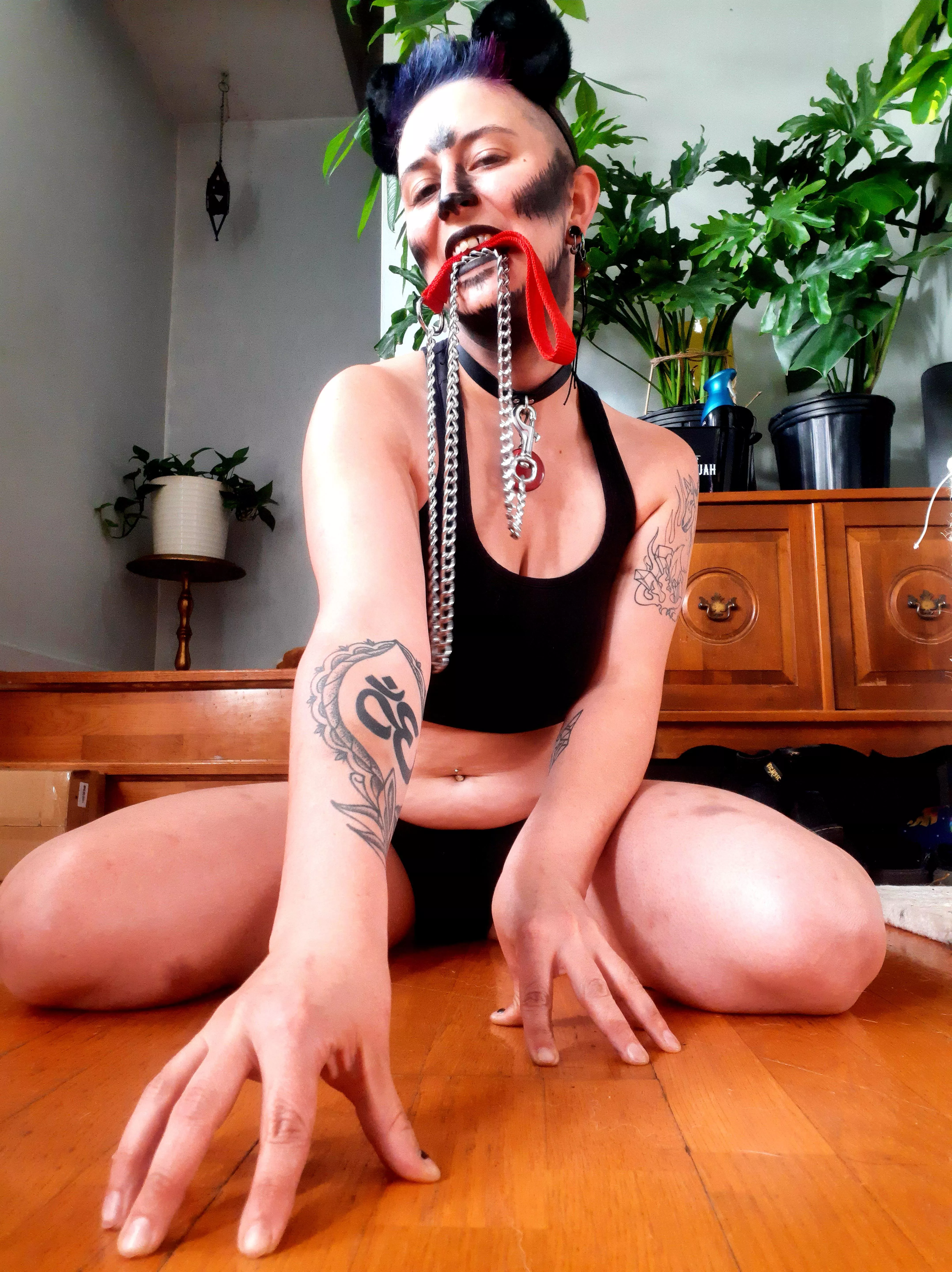 If this makes you growl... Then try and take this leash...