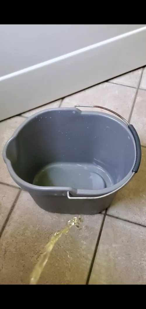 I'm Ari 19 Canada. I wanna build my content doing what I love and I need some help ❤️ I'd love to pee for you. Let me know where I can pee for you.