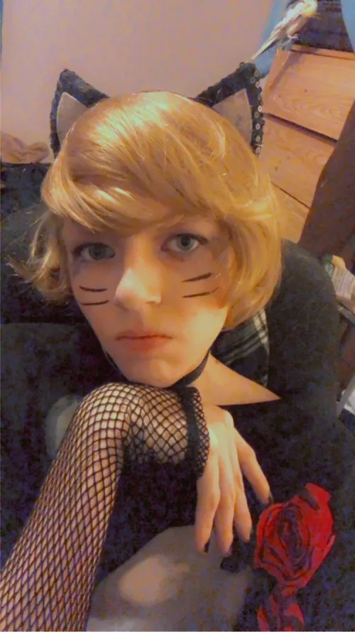 You’re heard of Femboy Friday… now get ready for catboi caturday hehe ^_^