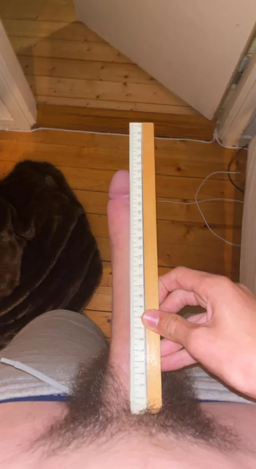 Thought bout my cock?😈