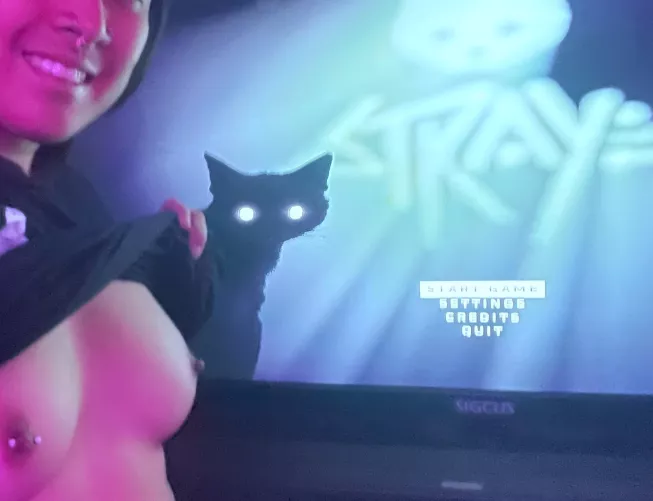 Who else has played this game and likes it as much as I did? 🐈‍⬛ 💜