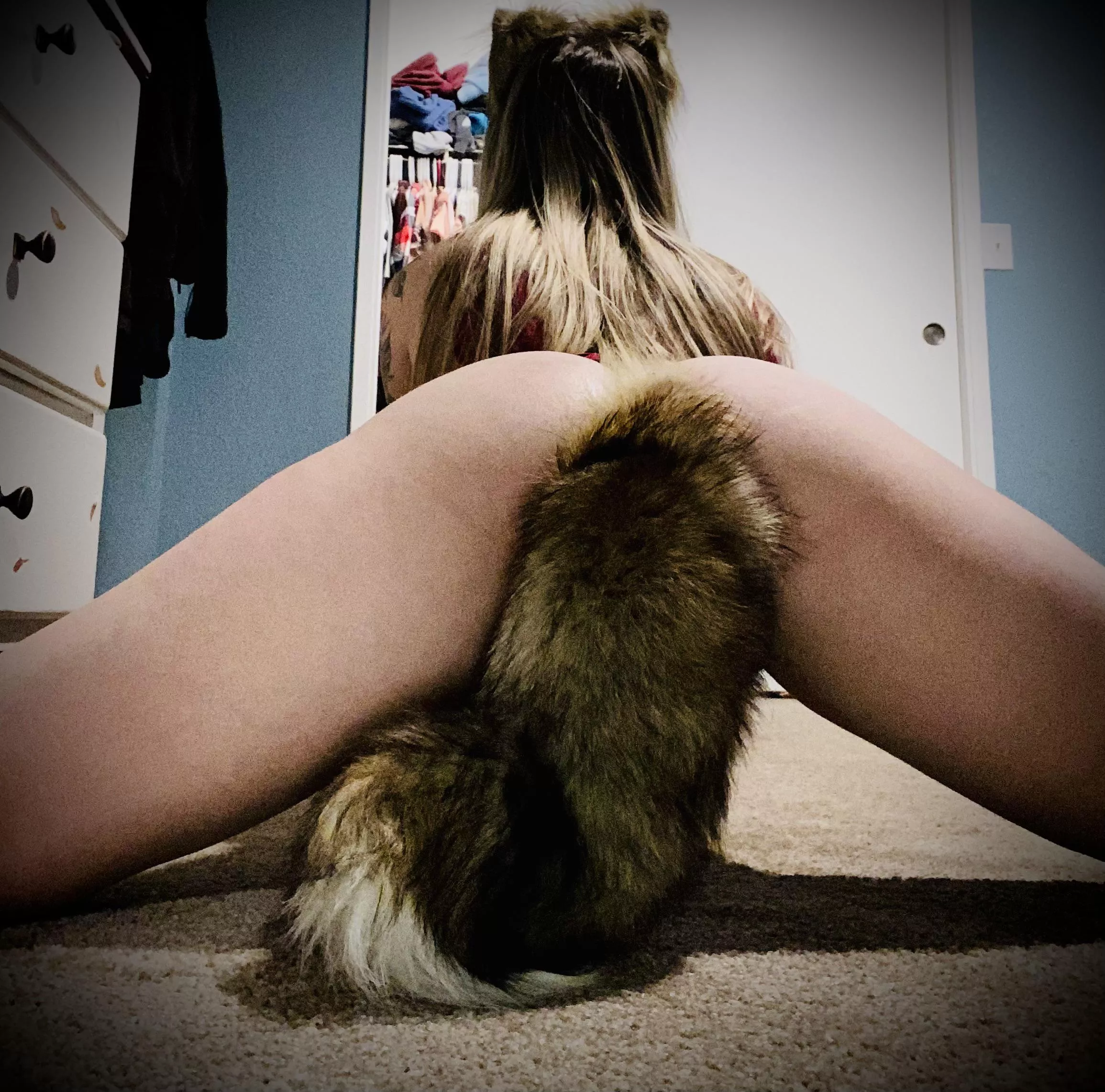 My tail finally arrived. And I’m in love with it 😉💙🦊🙃🤤