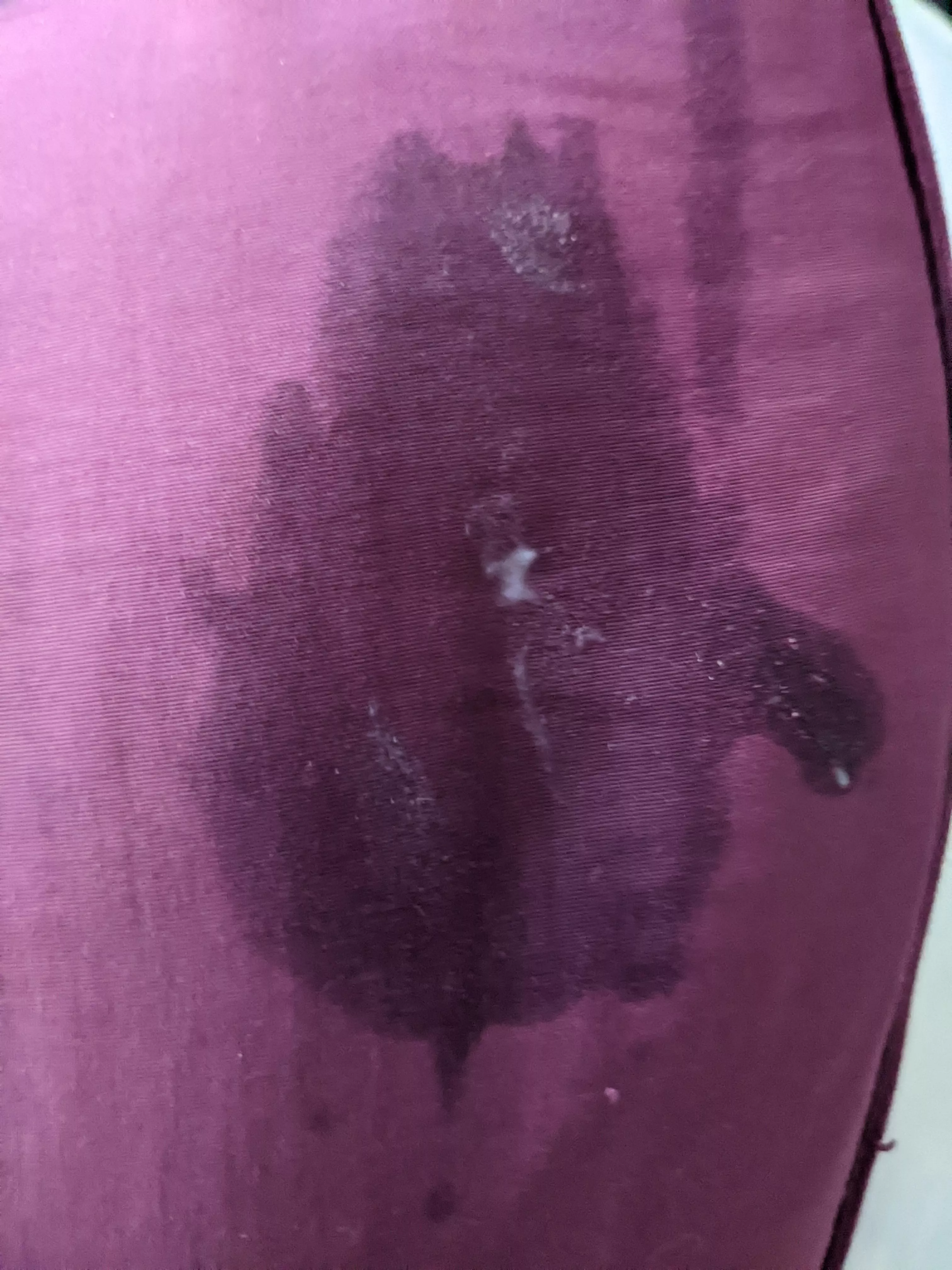 The aftermath of edging for an hour by humping this pillow w no panties 😅