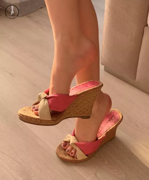 Todays special fro wegde lovers