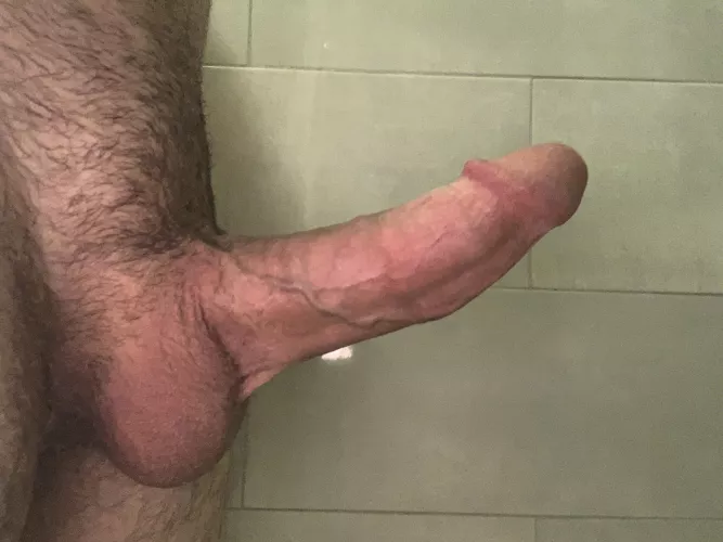 what could I do to be your favorite freshman? (18)