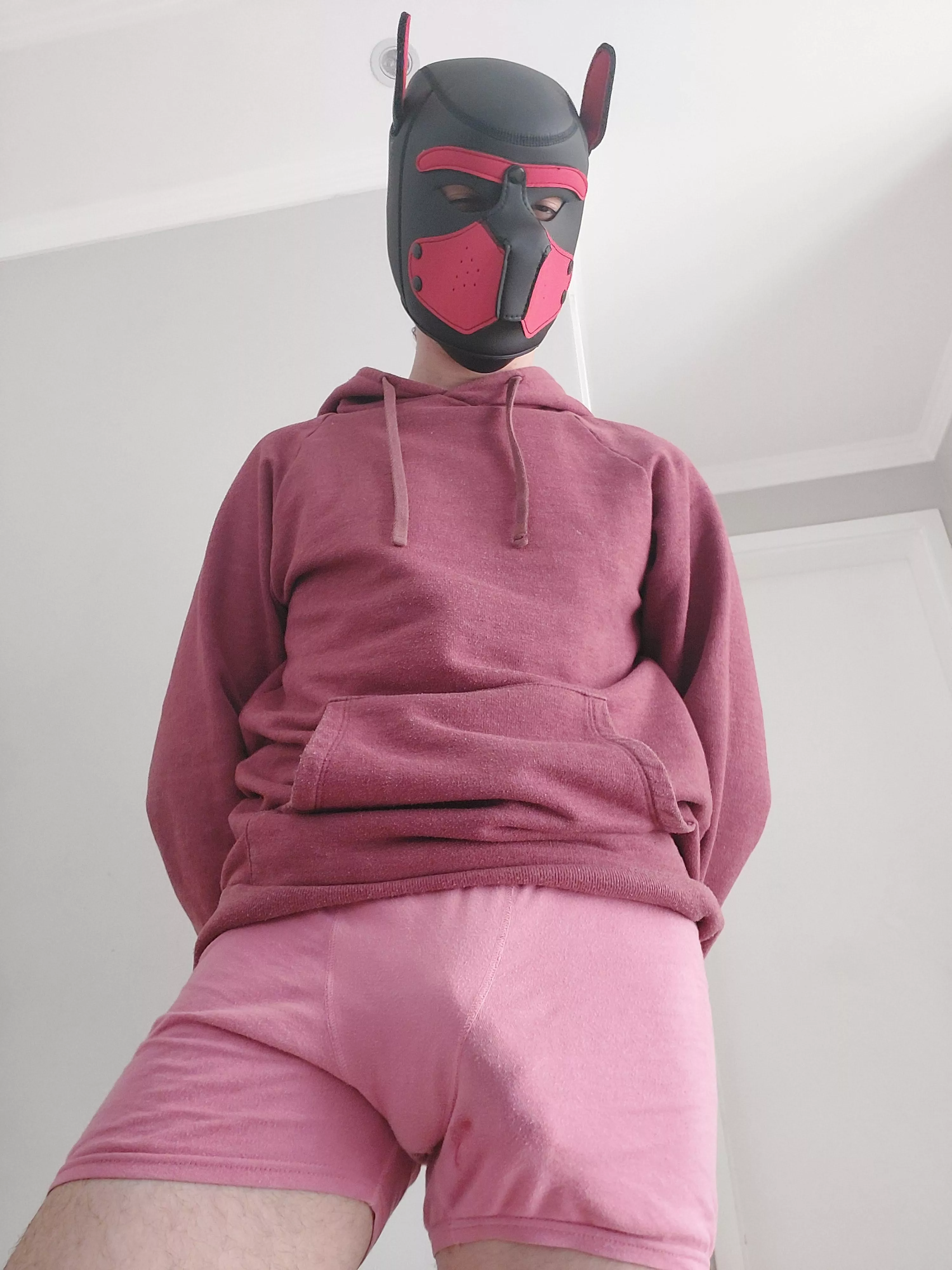 cold morning here, any puppies to warm up with me?