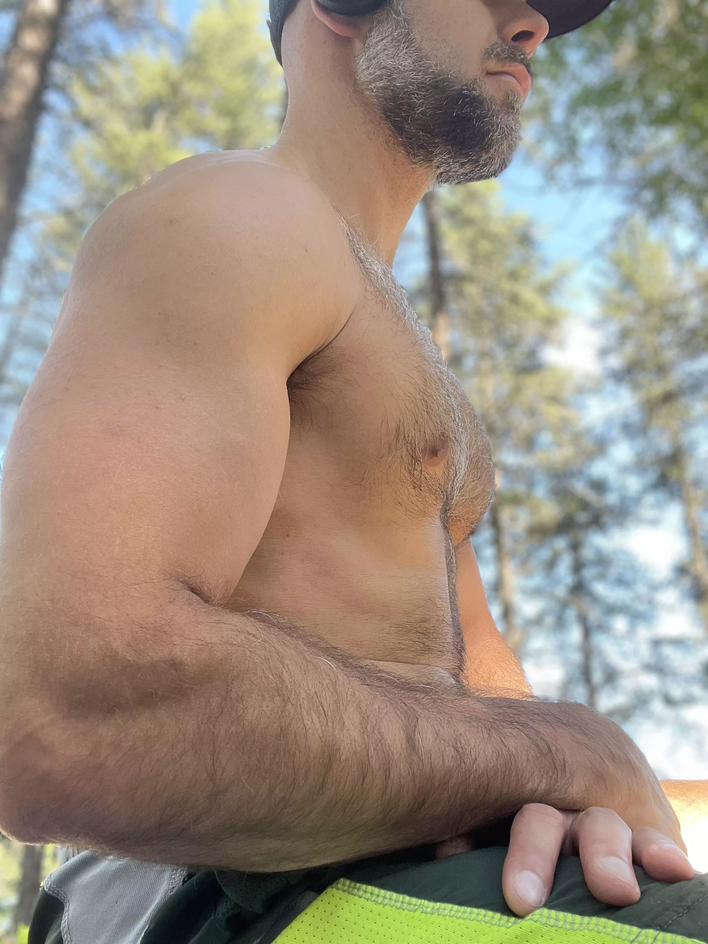 Contemplating life in the forest.