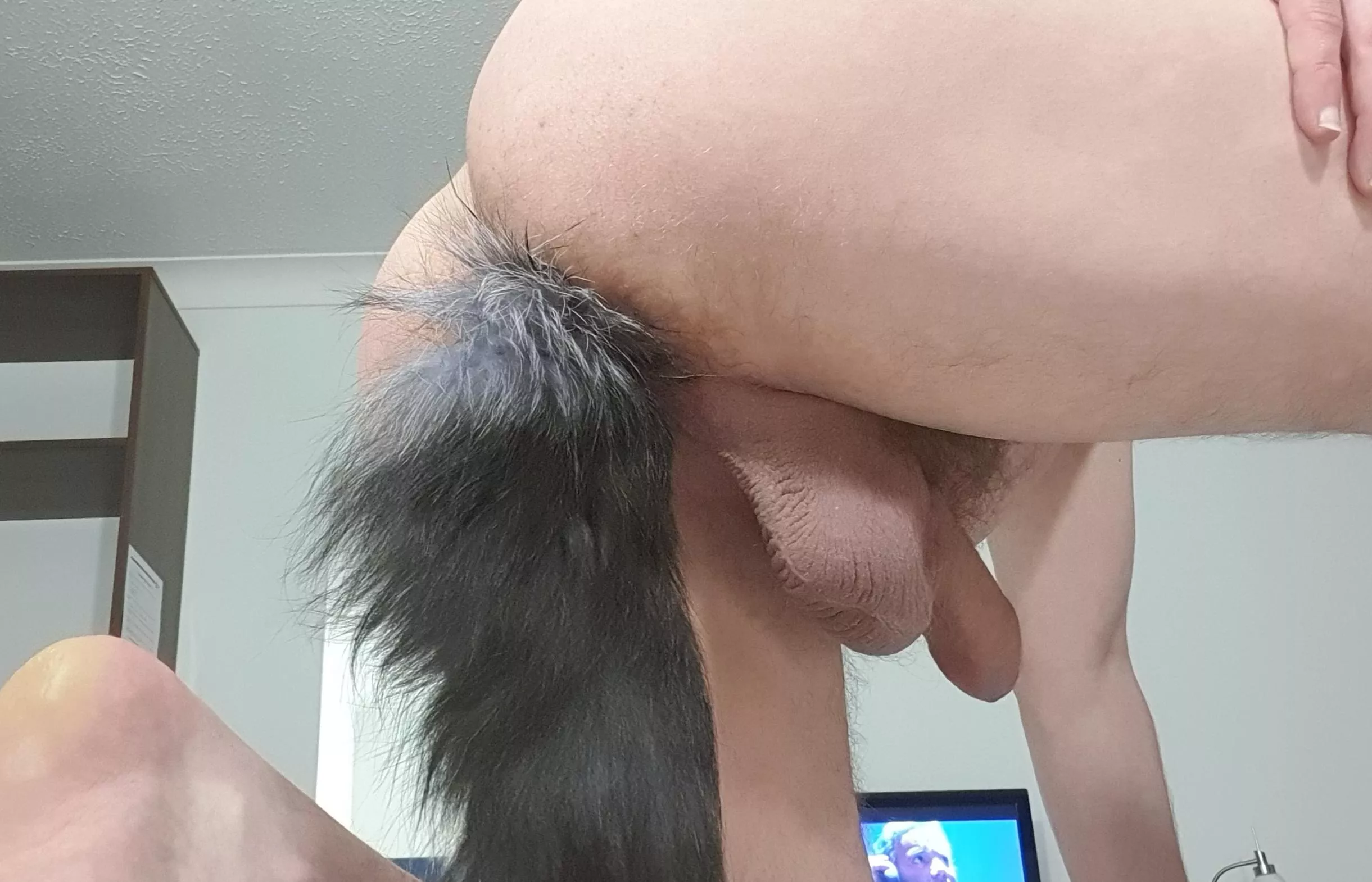 Happy hump day, anyone want to remove the tail and put something else in there? 😉