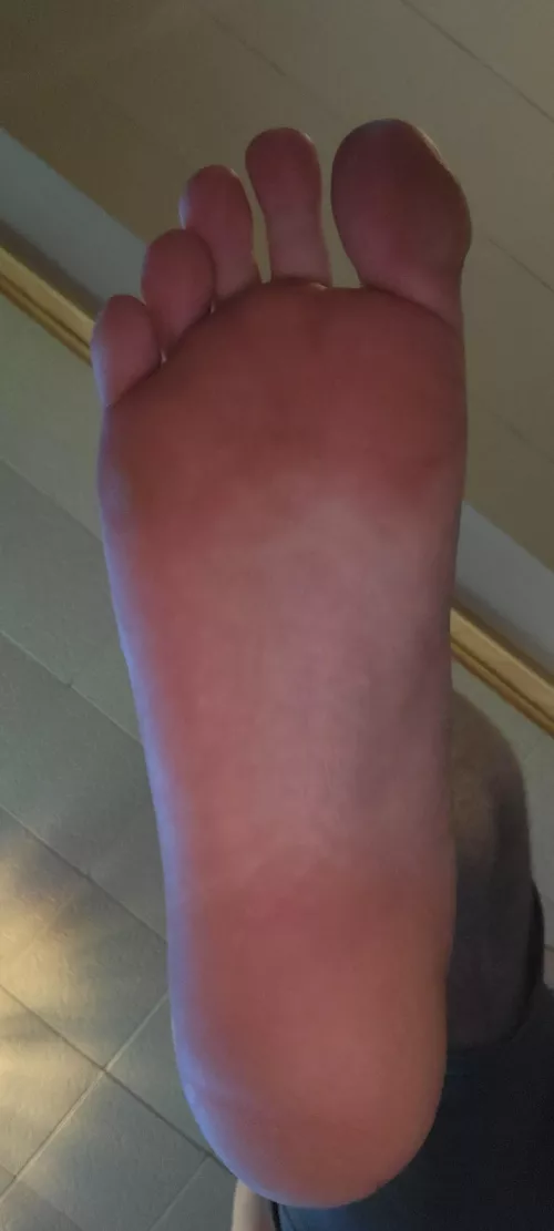 Lay on the floor and service Master's size 15 feet.