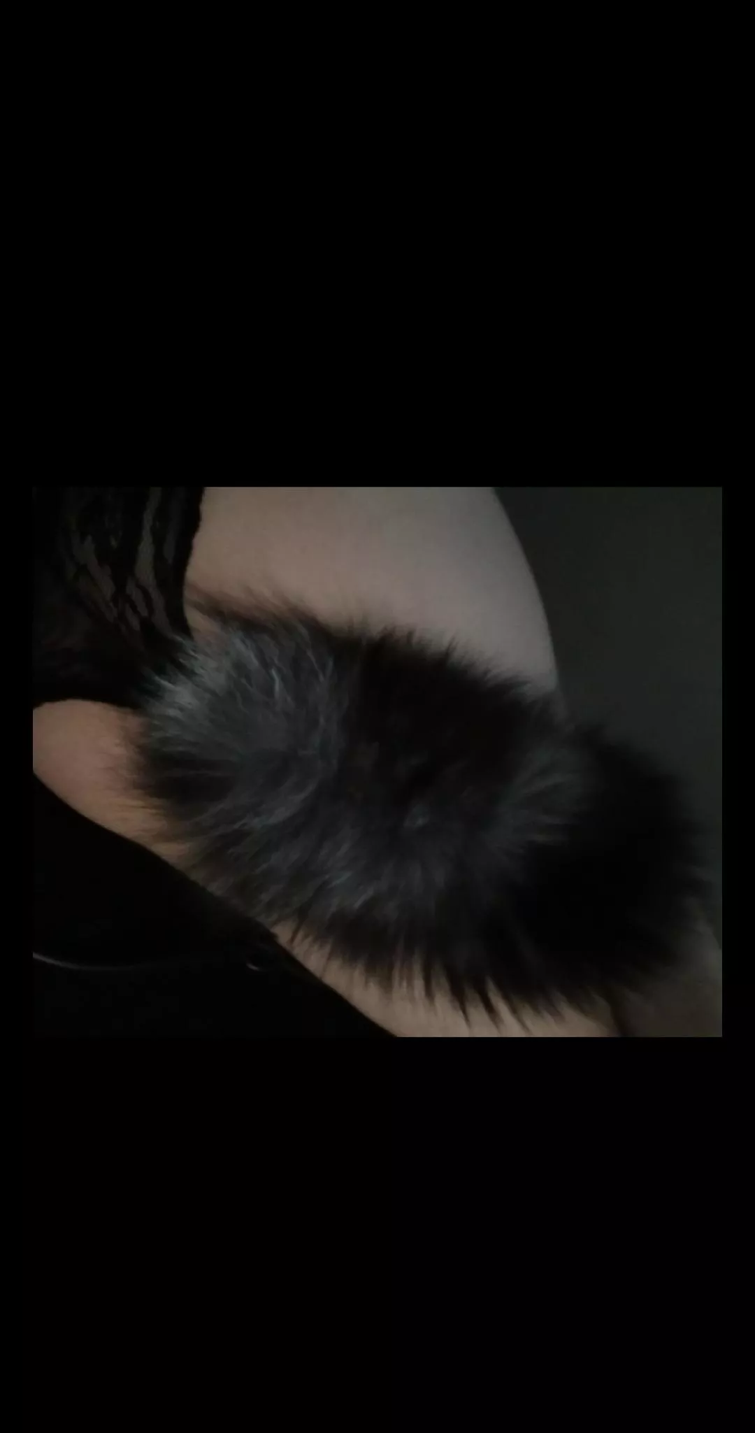 let me be your femboy kitty 😽