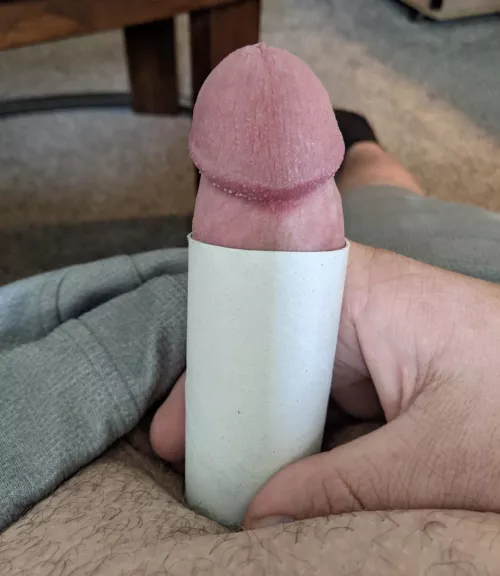 Tried out the toilet paper roll, had to rip it off lol