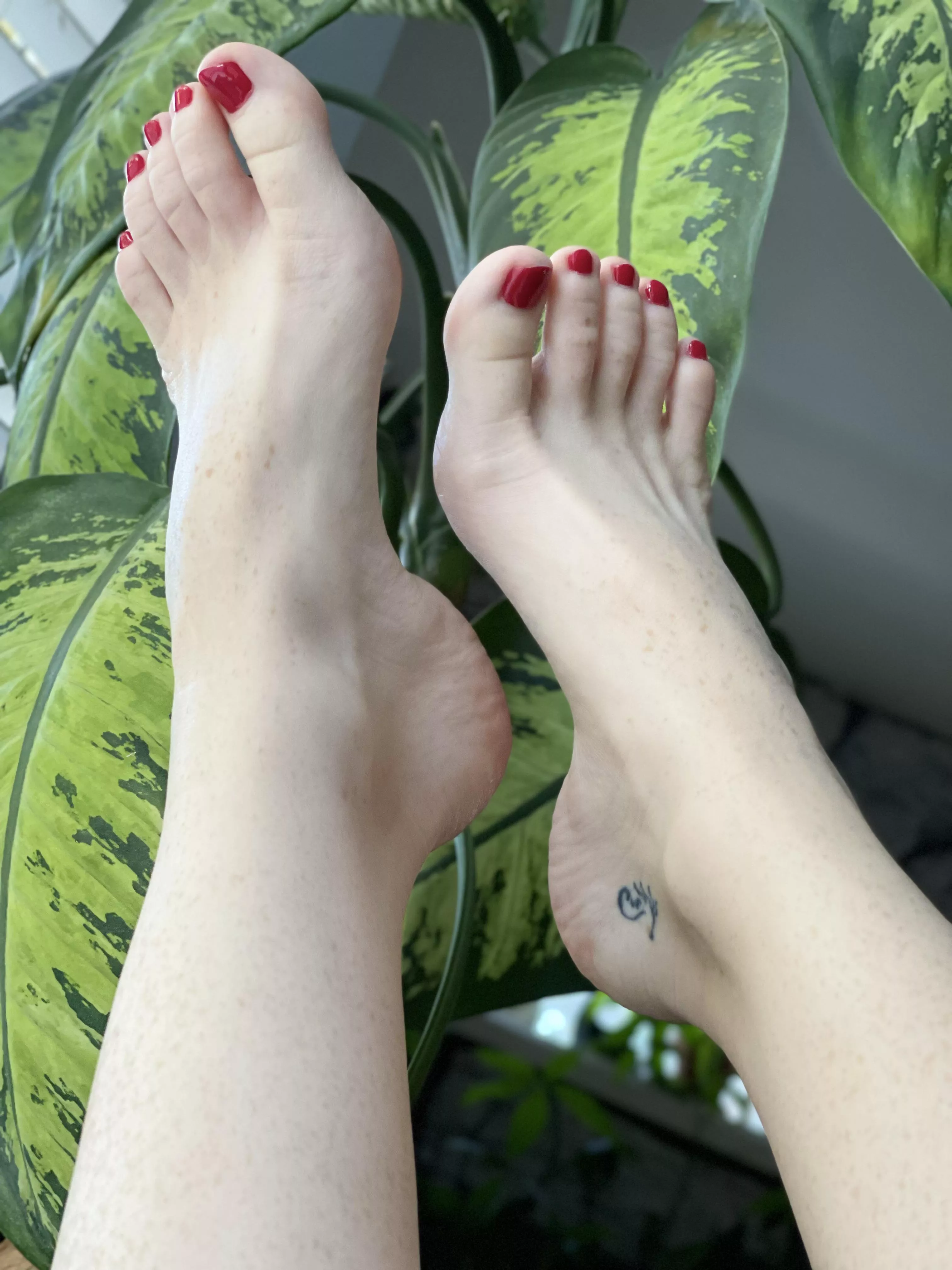 CLIMATE CHANGE IS REAL! You’re not going to just let my feet die as virgins, are you?