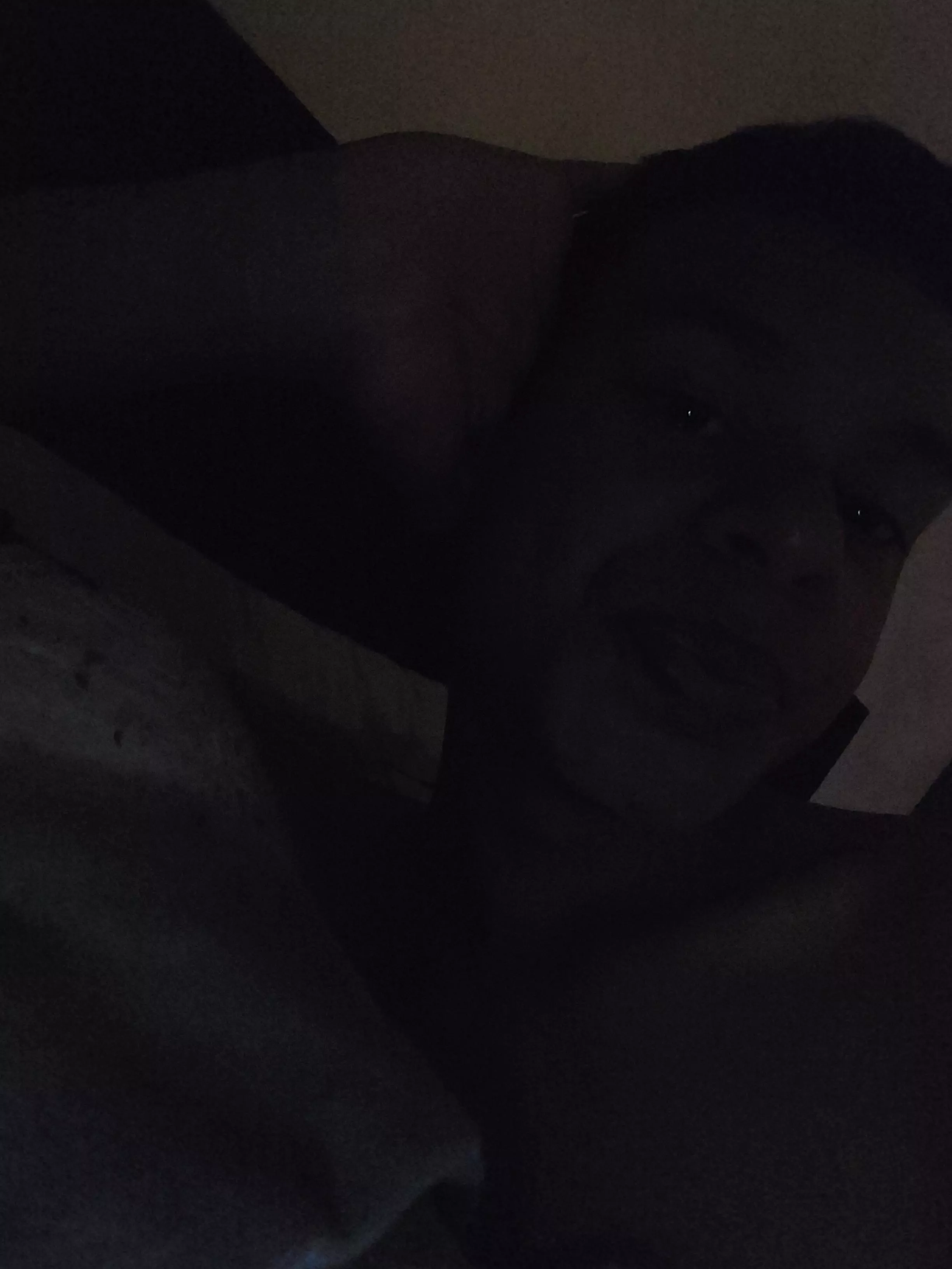 I'm so bored please comment down below, I can't get to sleep