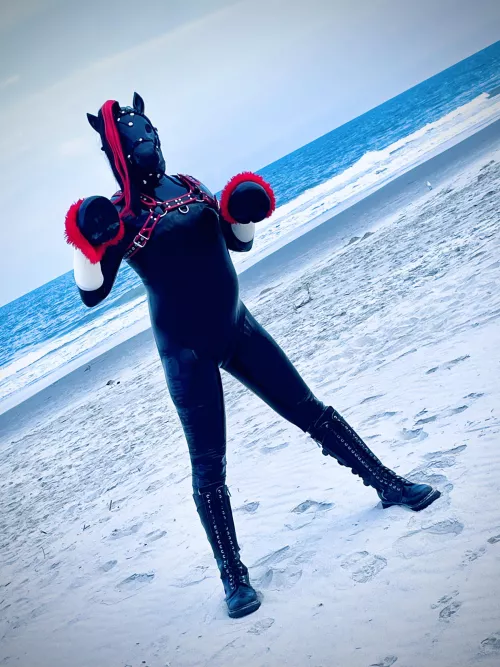 Brought my Pony to the Beach 🐴