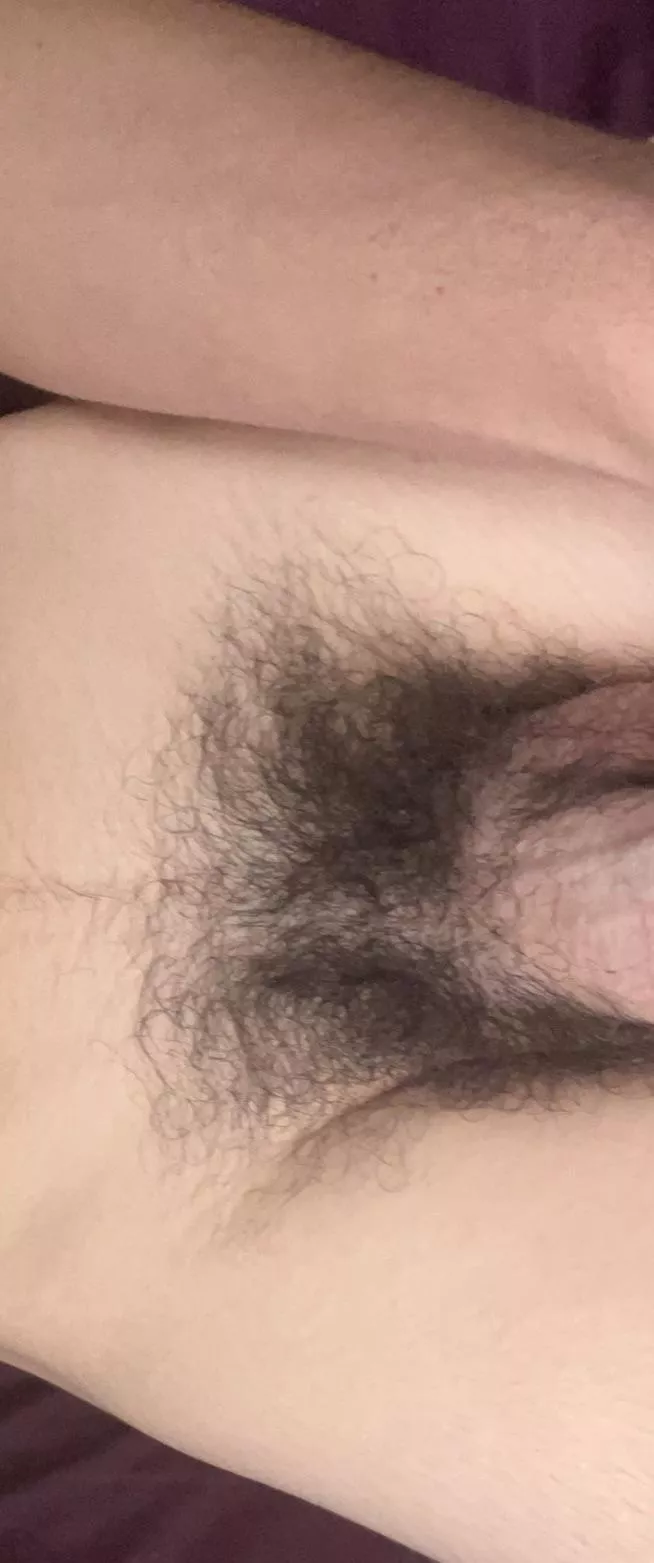 My 18 year old bush not even fully grown hmu for OF/priv content