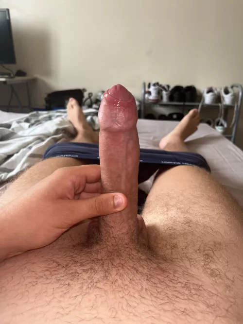 My dick moments before a big load
