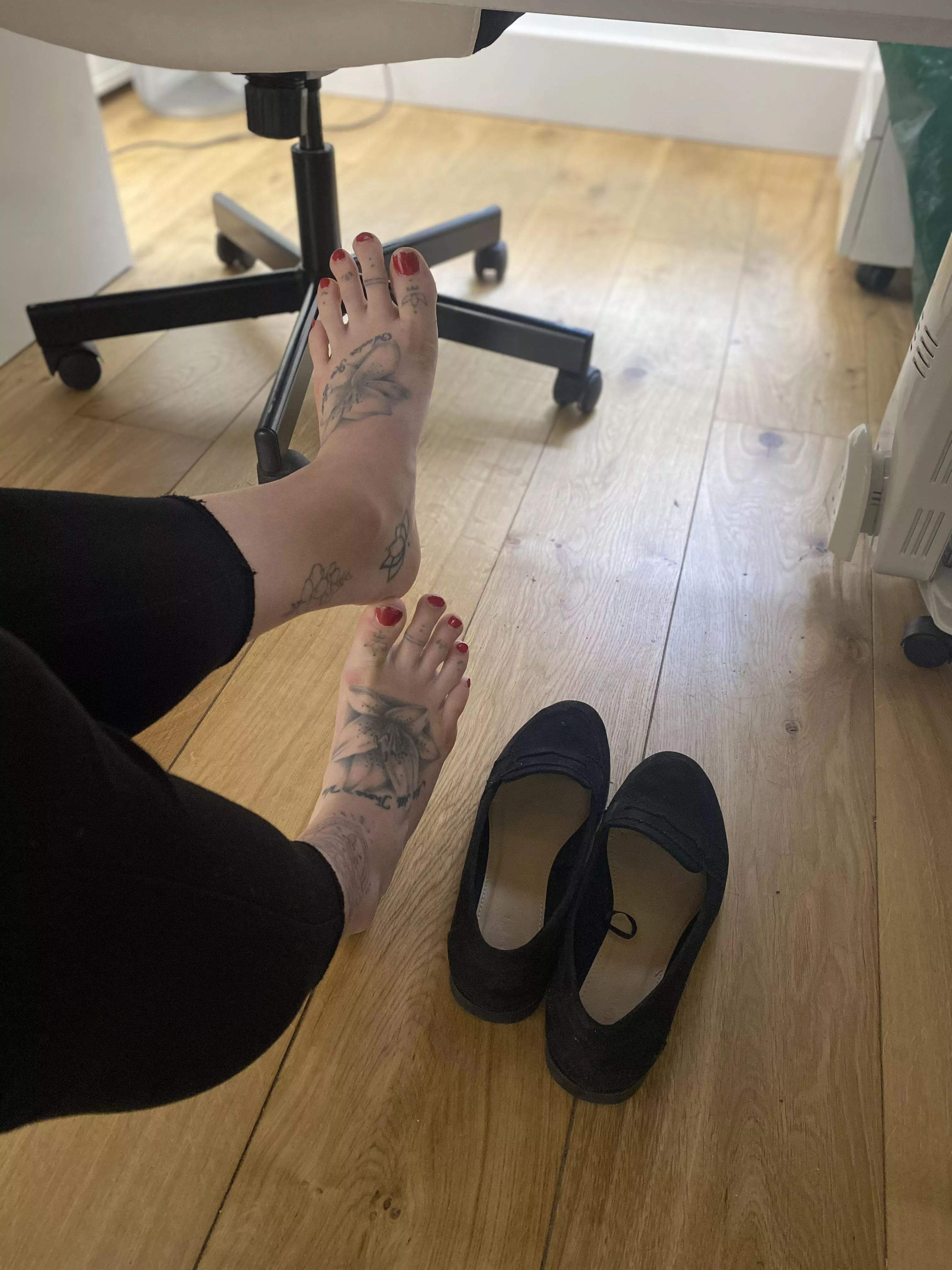 Sit under my desk and I’ll put my feet on you as I work