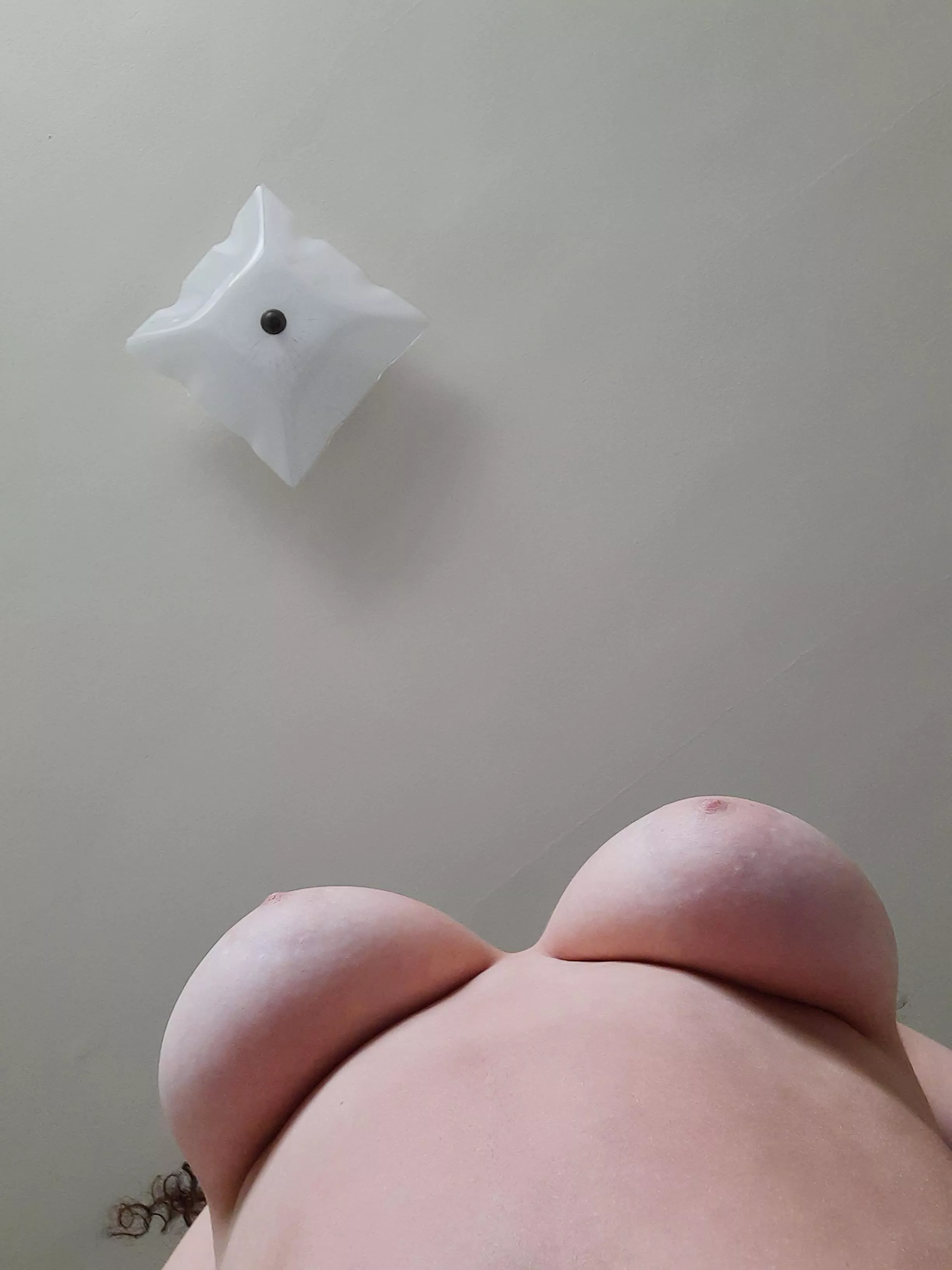 suck my milkers while I milk your cock