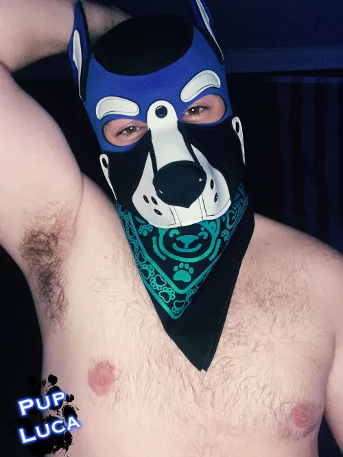 Wanna get a whiff🐶😈?