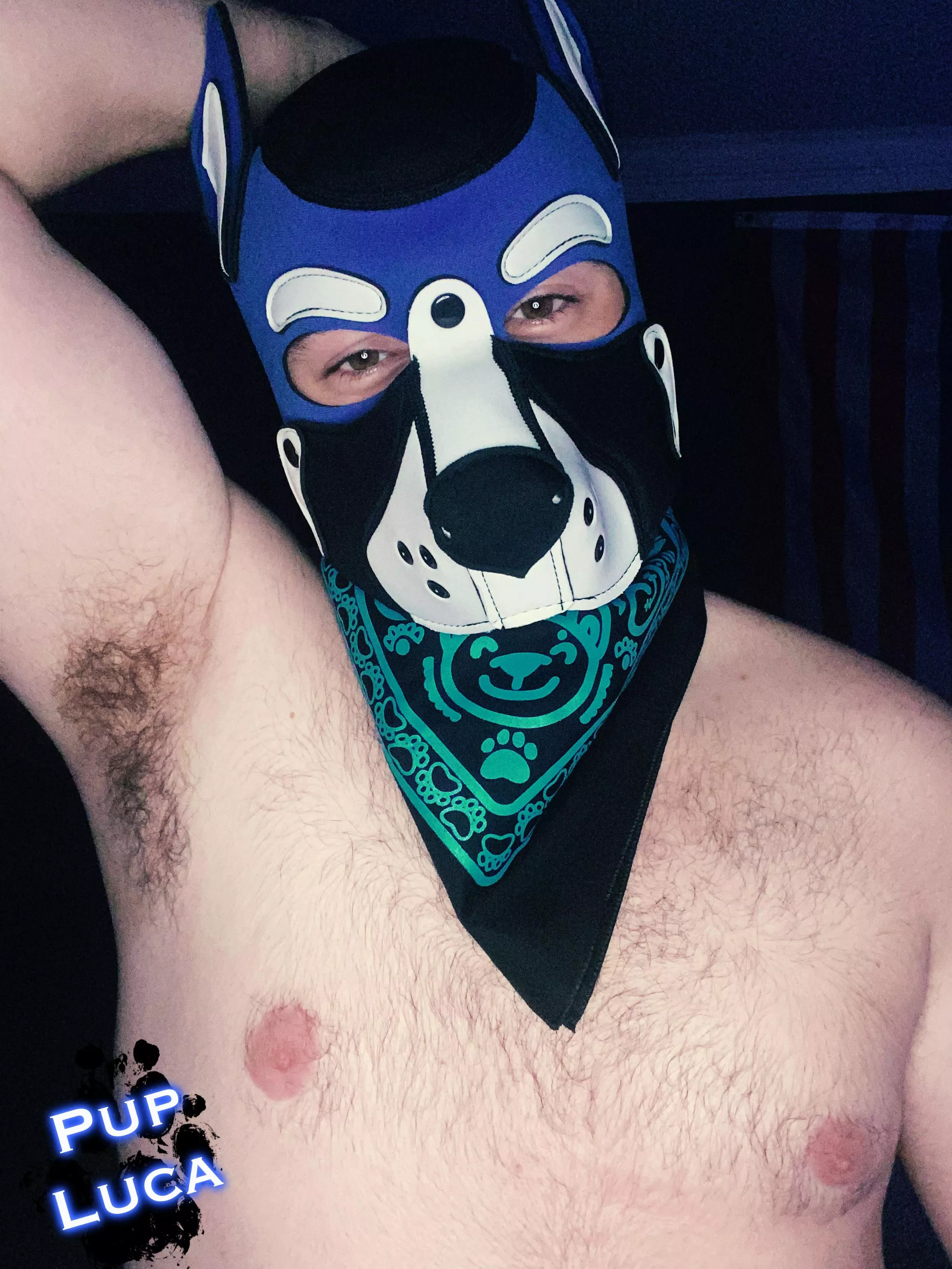 Wanna get a whiff🐶😈?