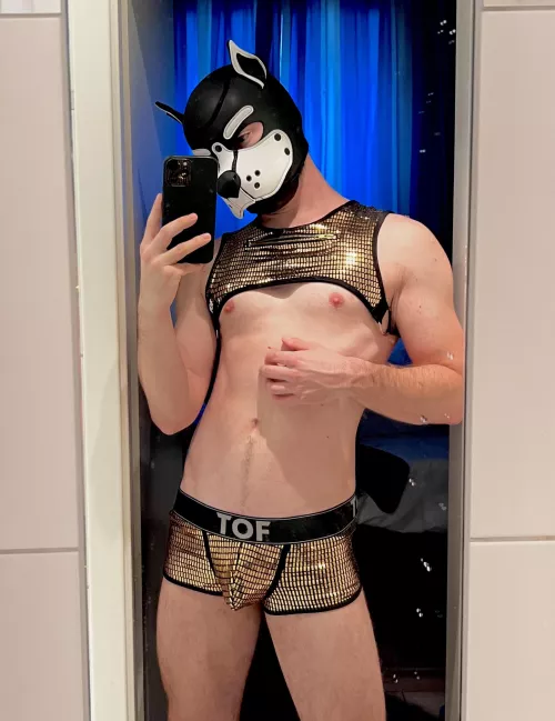 You can find me in a pot at the end of the rainbow 😘