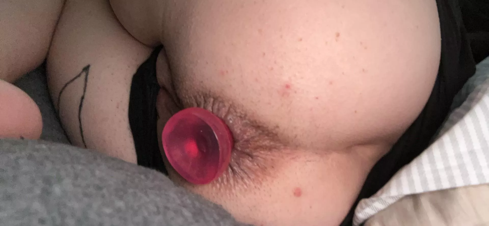 New toy 🥰 thinking about a training session 😈