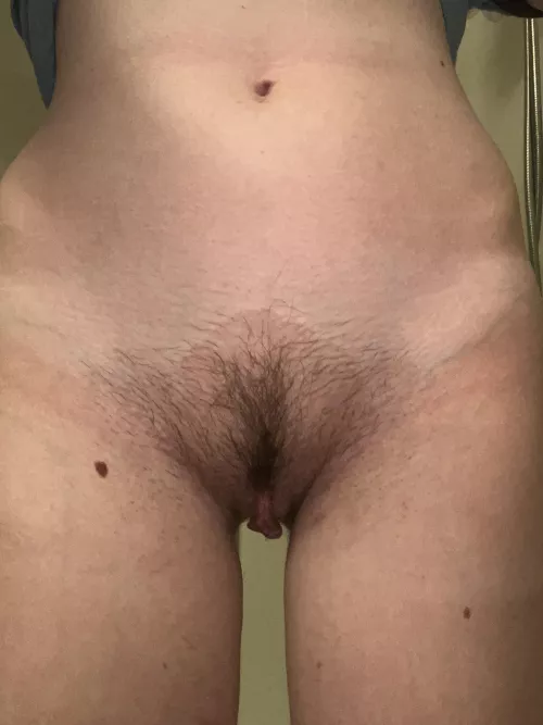 What do you think of my trim? 😇