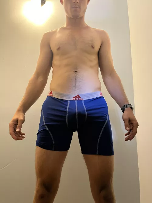 (31) adidas dri fit briefs