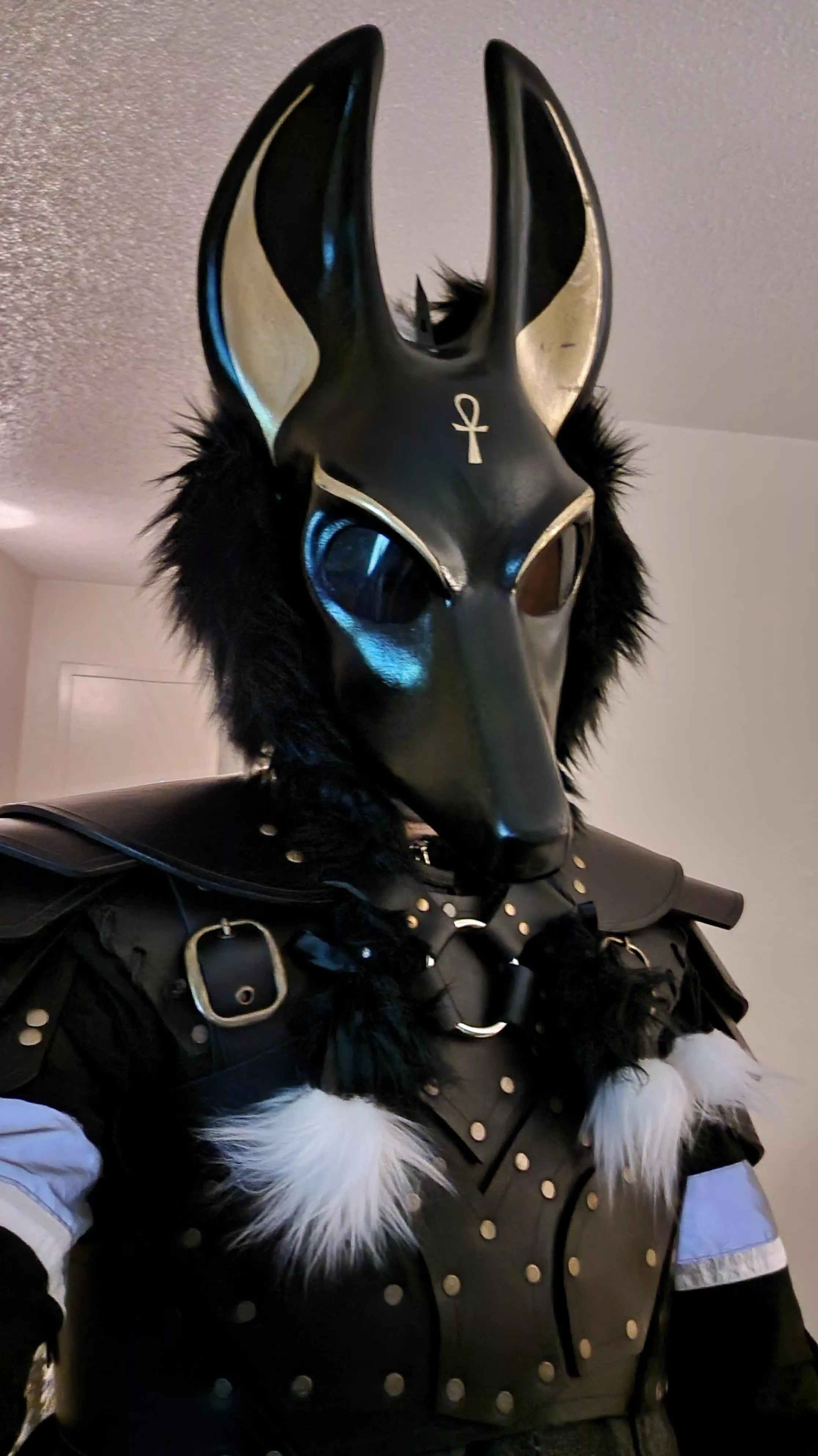 I'm geared up for my first furry con at MFM. A lil nervous but I'm growing the confidence. Everyone is so nice ;-;