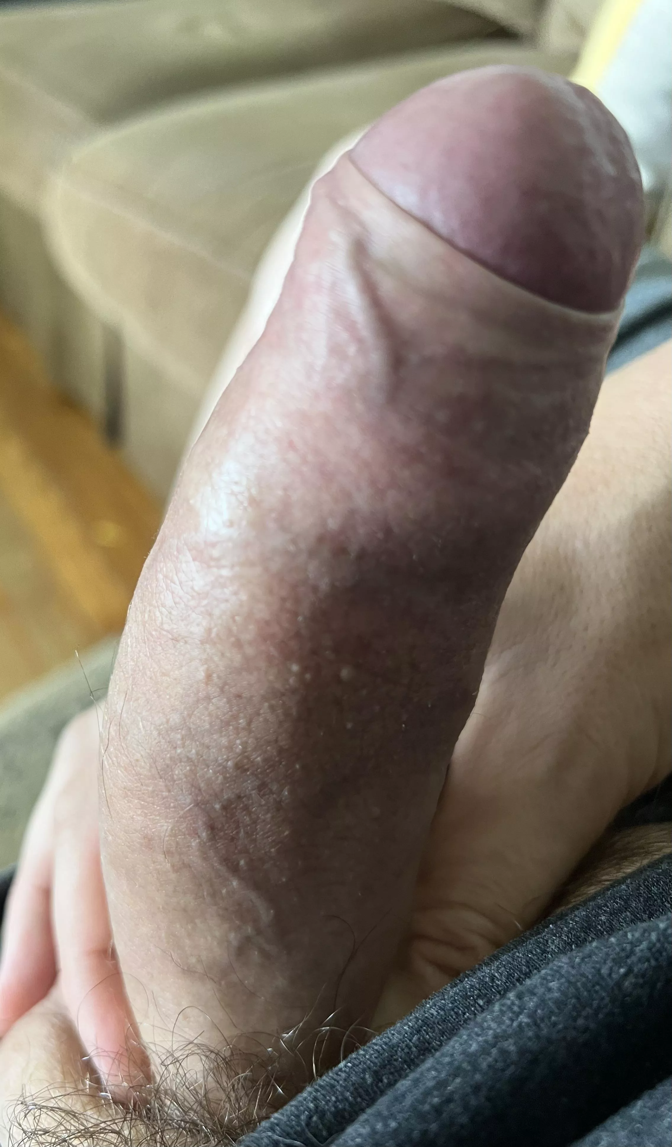 Just casually pulling it out on the couch. Thick enough to be here? Want to lend me a hand or mouth?