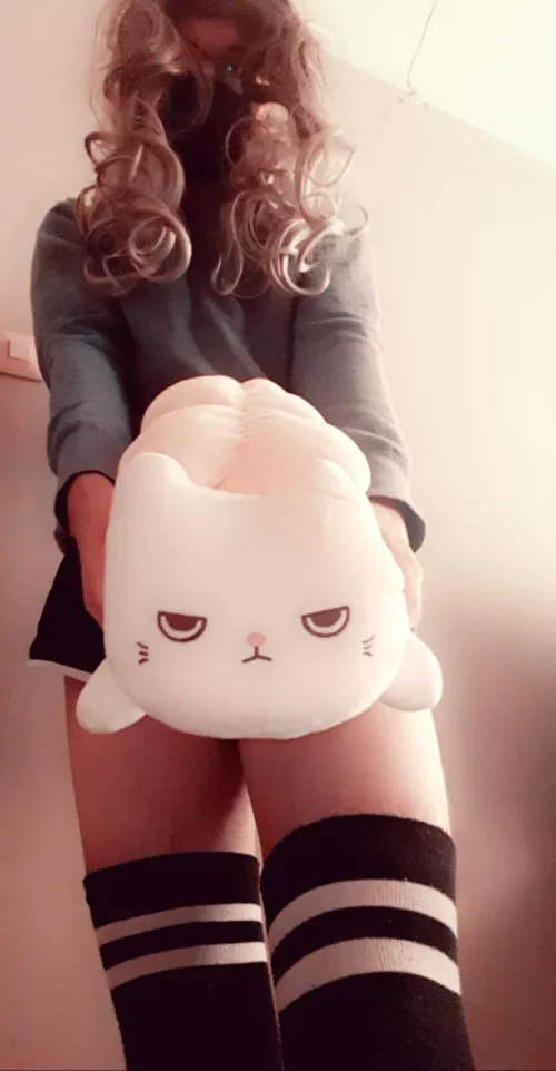 Sushi catto wont hurt ya 😄😊