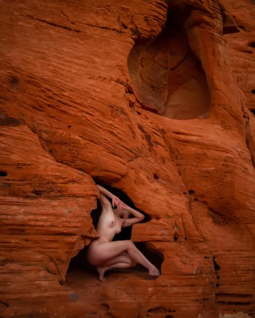 Following the shapes of nature