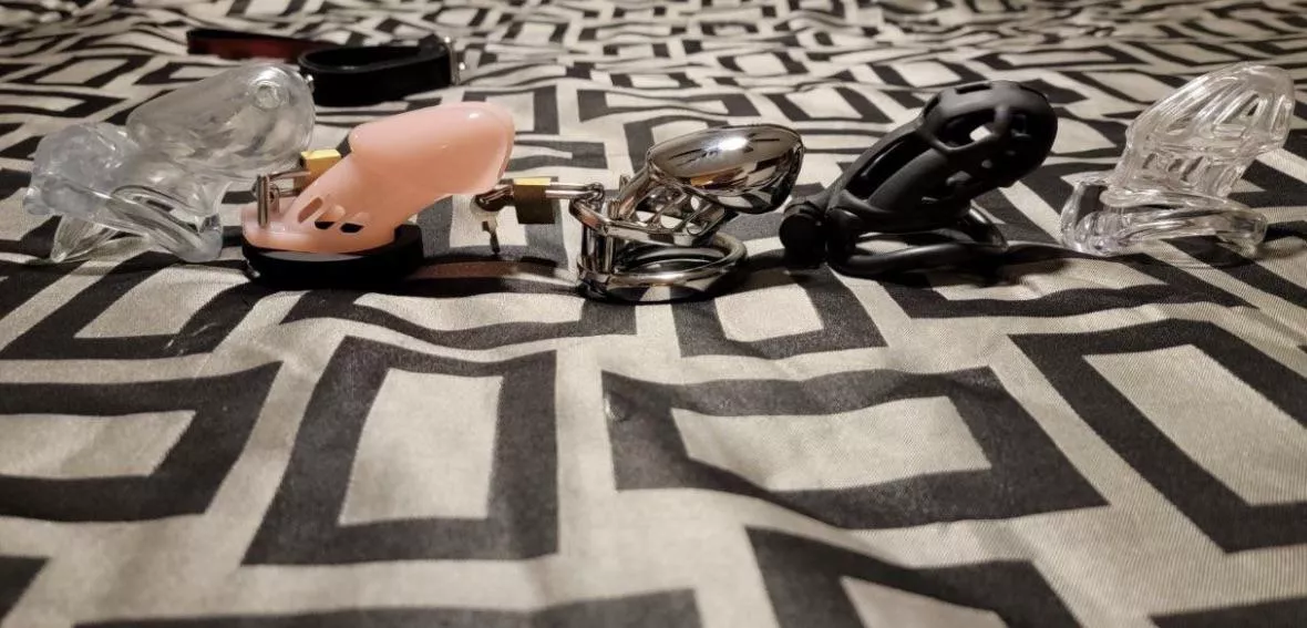 It’s up to you to decide how long it must stay caged 😈