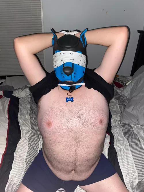 Tied Up Pup