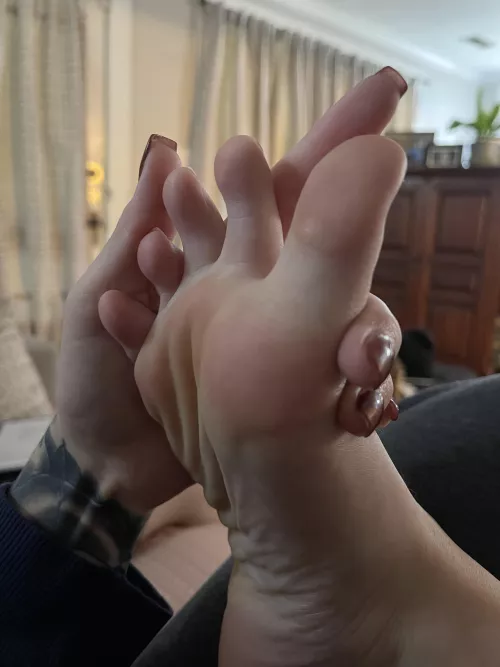 Don’t these look tasty?