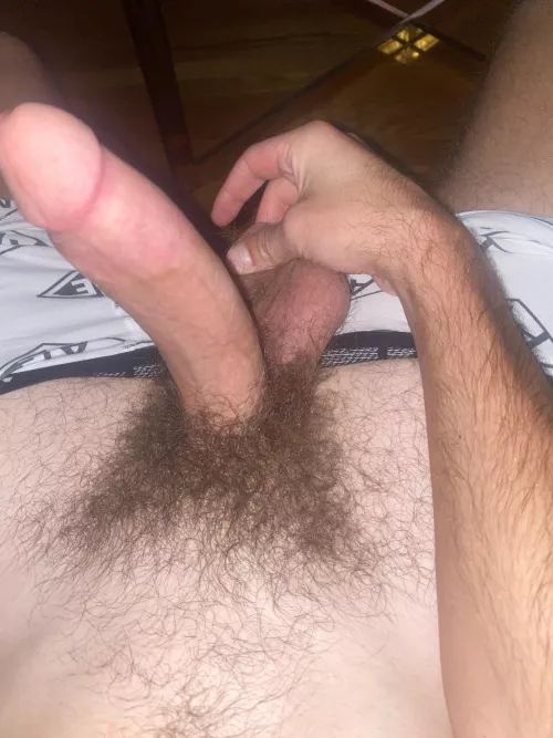 Haven’t posted my hairy cock in a minute