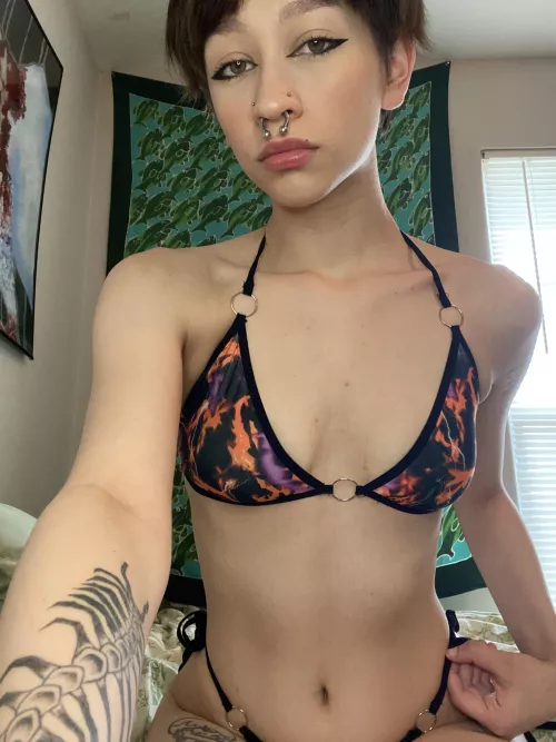 i think this set is covering a bit too much …