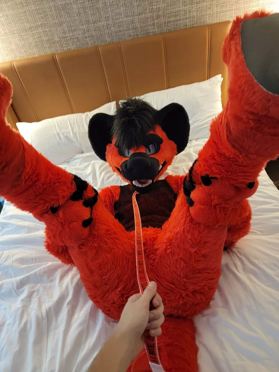 Leashes just make you feel some type of way. 🥵