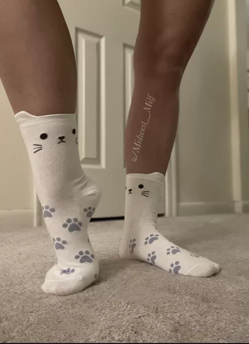 Look how cute these cat socks are! [f]