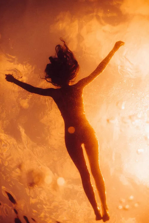 Nothing to fear nothing to hide