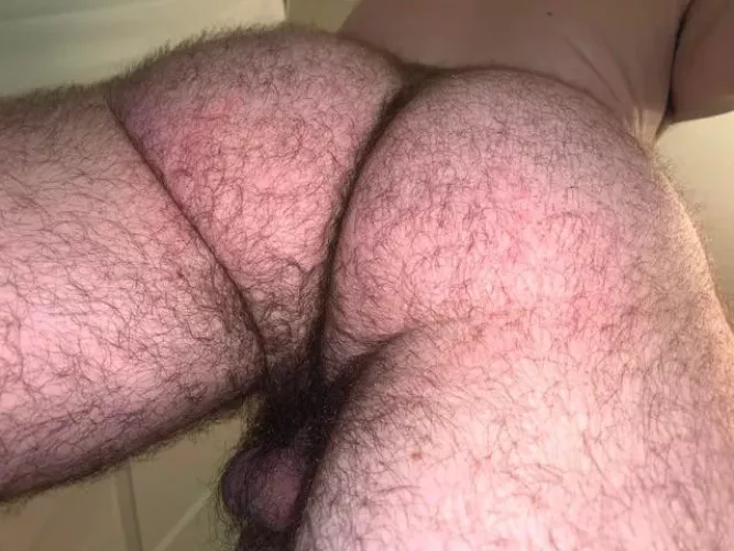 24 in shape with a big furry bubble butt. DMs are open