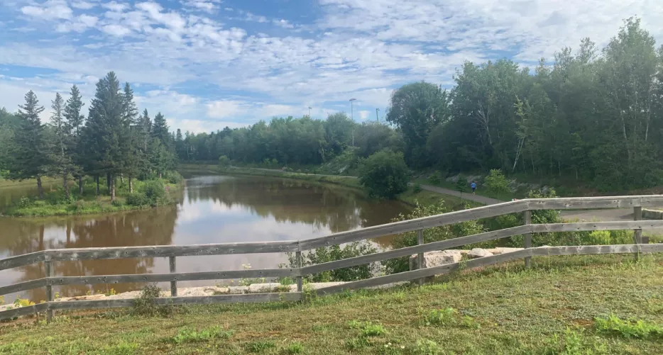 Can anyone help and explain how to get my dick in me