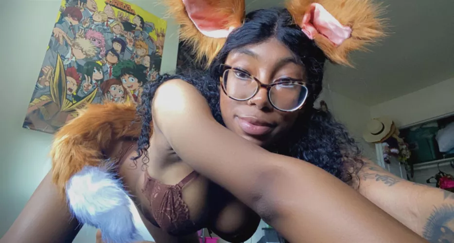 Fox is still a cat right? 🦊