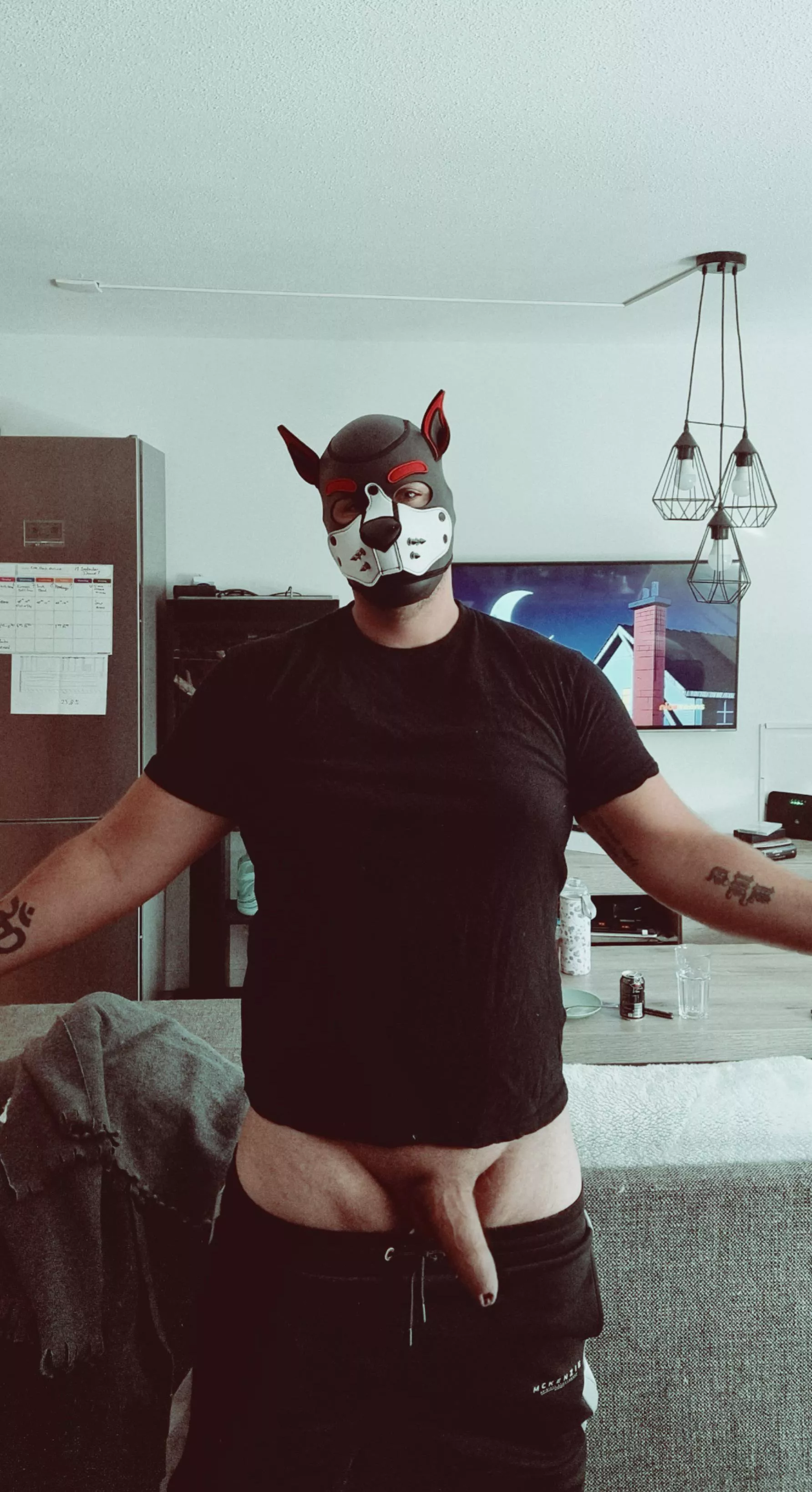 free hugs 🫂 🐶❤