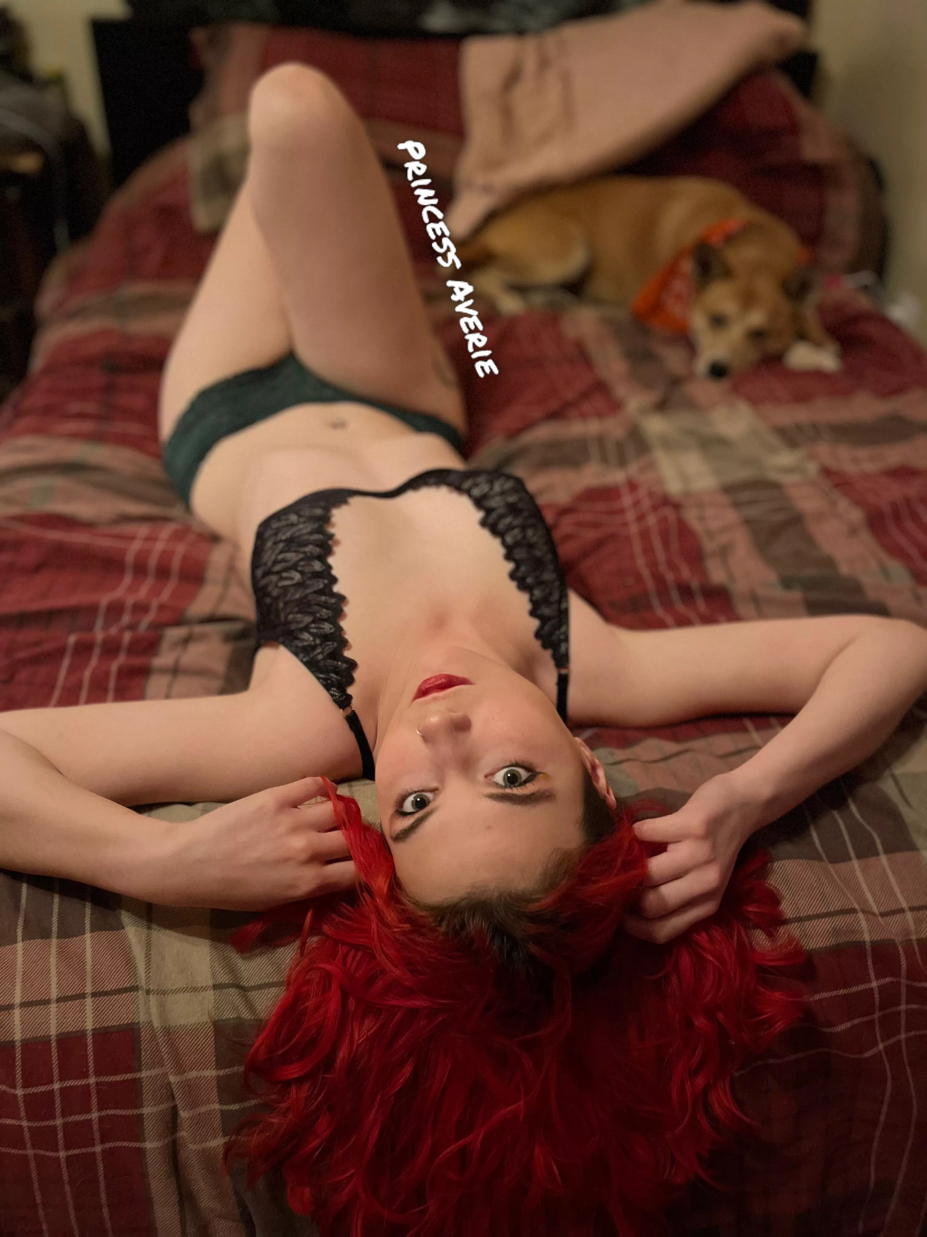 Ignore my dog in the background lol 👅 College slut 👅 B/G 💕 JOI 💕 Customs 💕 Solo 💕 Cheap Video Calls 💕Sexting💕 FREE onlyfans 💕