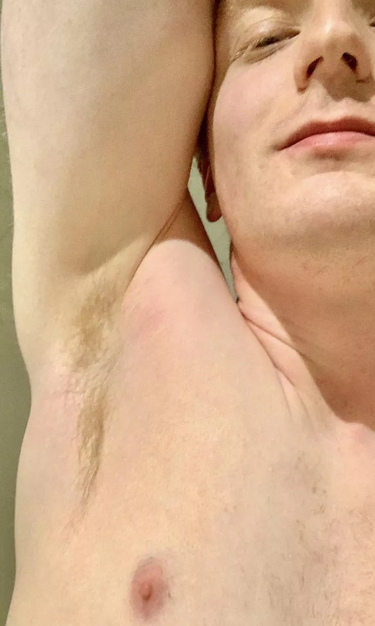 Imagine the post-sex smell of these Ginger Pits?