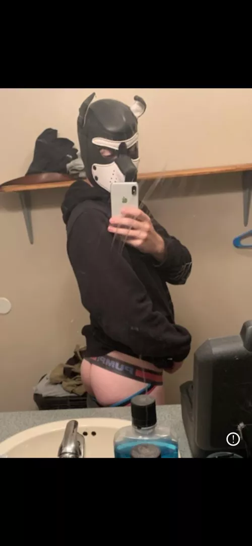 Just a good boy! 🥰