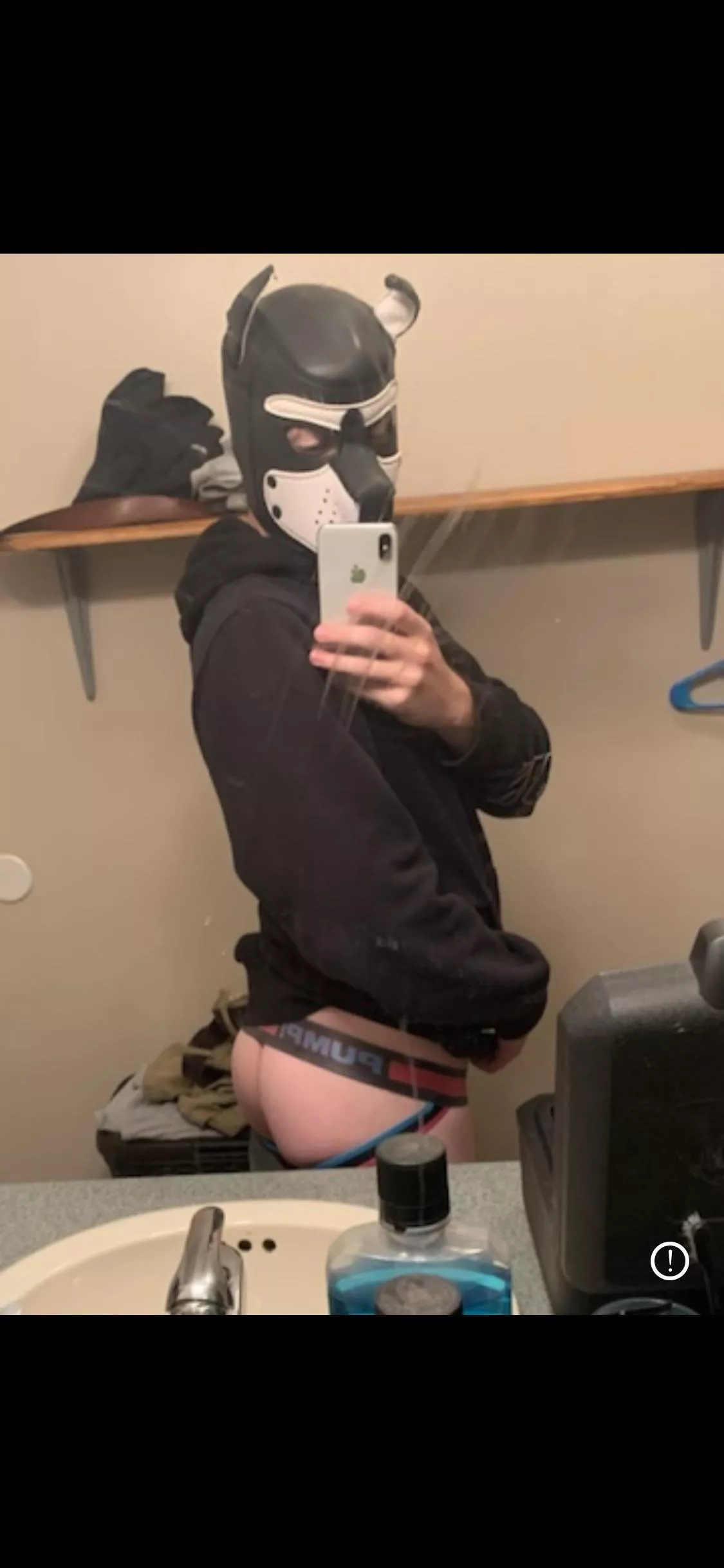 Just a good boy! 🥰