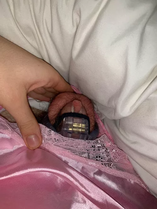 very happy with new cage