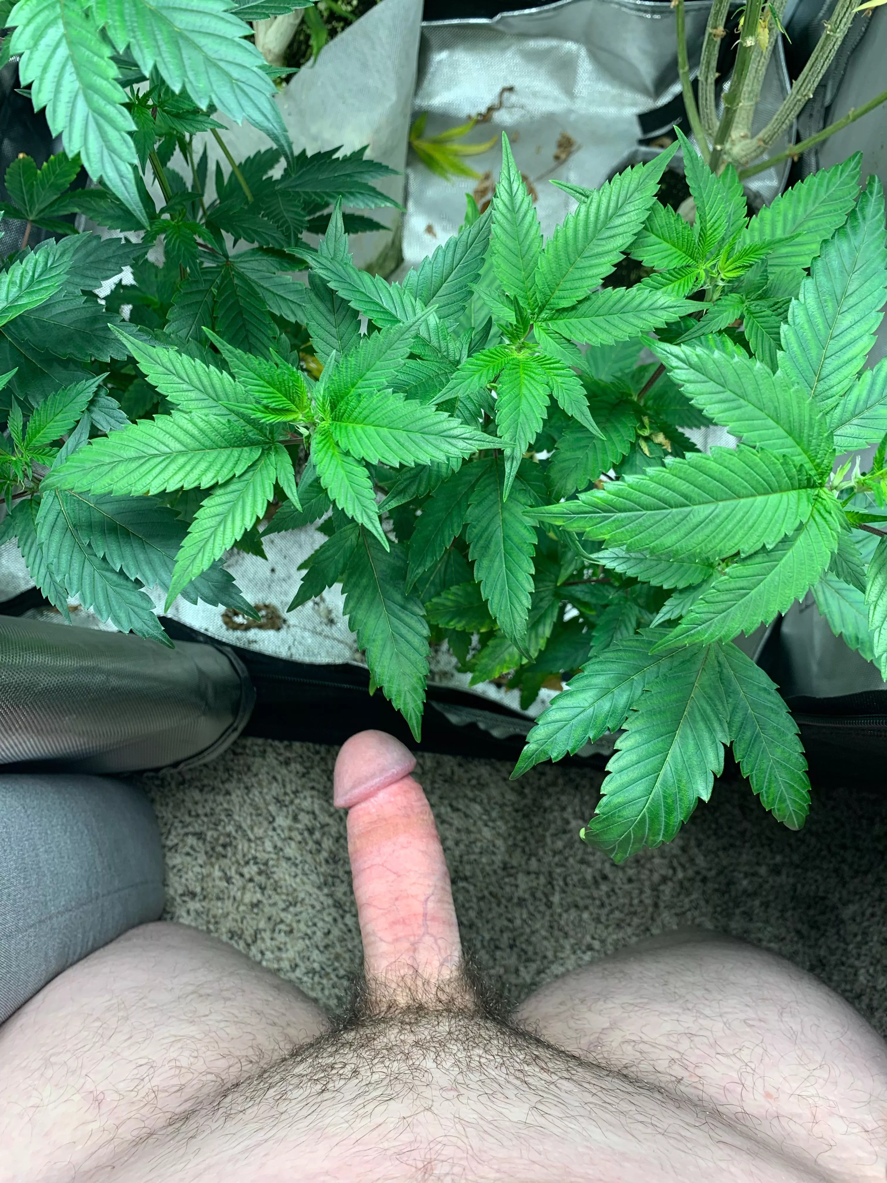 31[M] who wants to help with some plant work? 😜